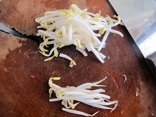 Fresh bean sprouts