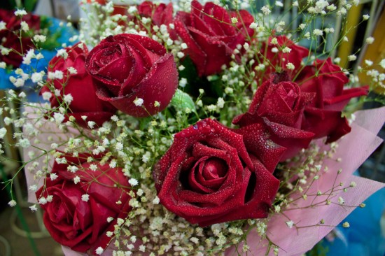 Valentine Roses for Sale at a Chiang Mai Flower Market