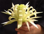 Holiday Plate Garnish - Leek Flower