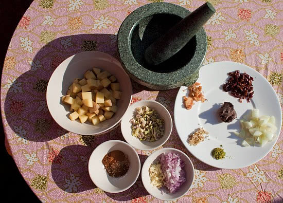 Massaman Curry and Curry Paste ingredients
