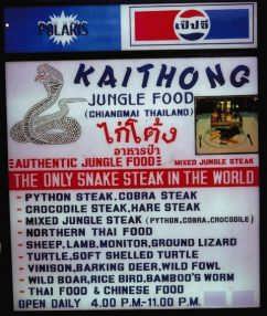 Thai Jungle Food!
