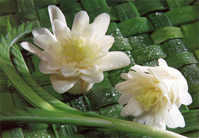 Onion Flower Garnish