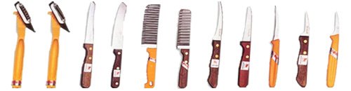 Fruit Carving Book and Knife Set