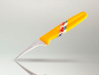 Bird's Beak Fruit Carving Knife