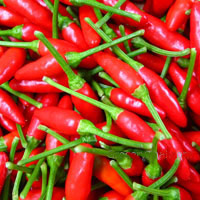 Pound of Thai Chili Peppers Fresh