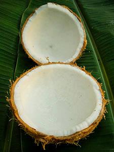 Coconut cracked in half