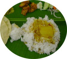 Indian Curry
