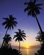 Setting sun