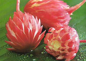 Red Radish Flower, Roselle