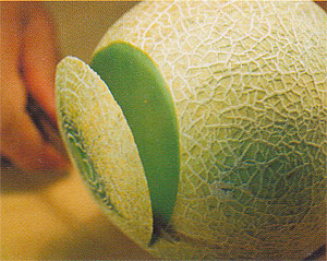 Slice off the end of the cantelope