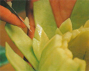 Cut notches into the inside petals