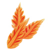 Carrot Leaf Carving