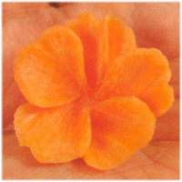 Carrot Rose Carving 4