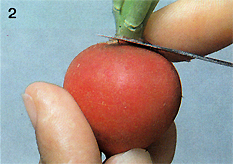 Radish Carving Step 2