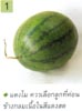 Watermelon carving step 1