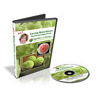 Thai Melon Carving DVD