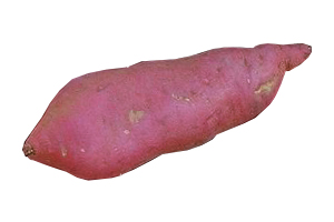 Sweet Potato