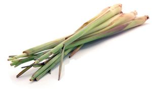 Lemon Grass