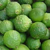 Whole Kaffir Lime Fruit