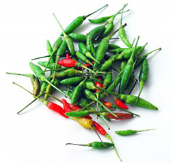 Thai Chili (Prik Kee Noo)