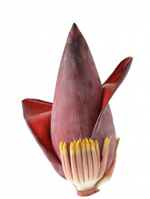 Fresh Banana Blossom,