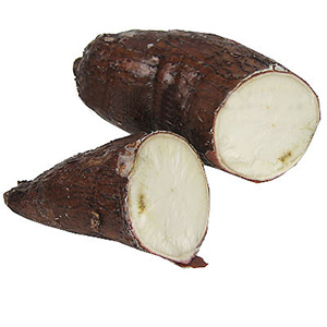 Yucca Root