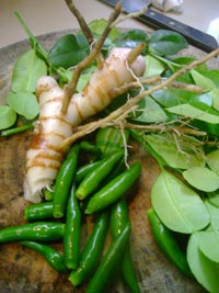 Green Curry Ingredients