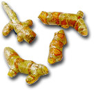 Turmeric